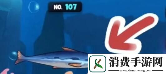 鱼吃鱼第八海域几内亚湾普通鱼怎么解锁