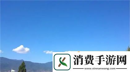 跪着主人走到面前应该怎么办-友必看：探讨宠物行为处理技巧