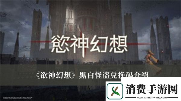 欲神幻想黑白怪盗兑换码是什么欲神幻想黑白怪盗兑换码介绍