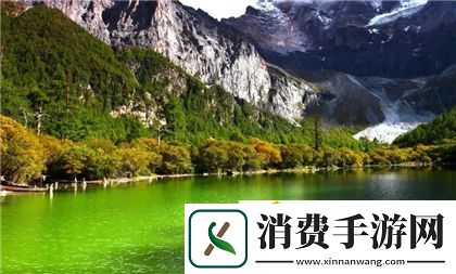 授课方式by肉馅小水饺林清：独特的教学理念与实践