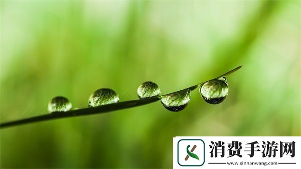 游泳教练pop11h最火的一句：成功靠努力和调整