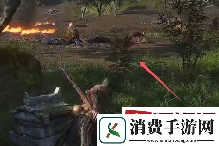 黑神话悟空第六回金甲犀位置在哪