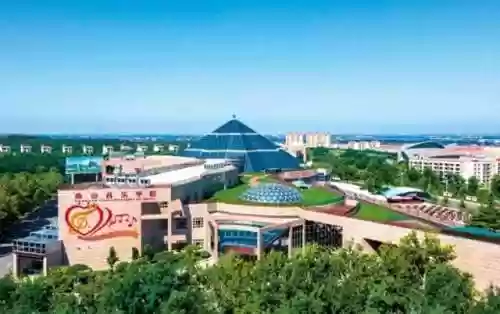 南山派阵容六道之门香行域阵容