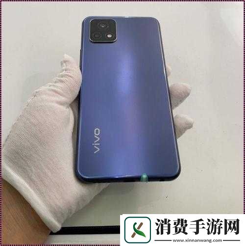 深度解析成色好的-Y31：全面剖析