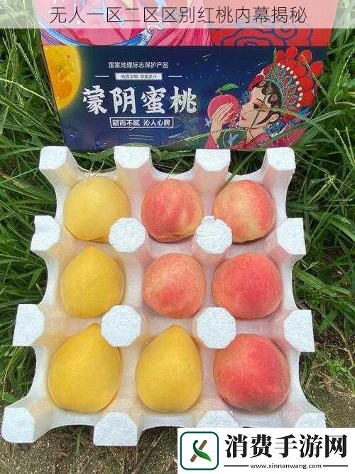 无人一区二区区别红桃内幕揭秘