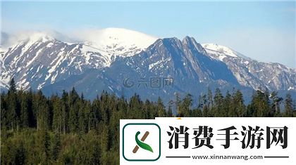 精准灌溉系统Y液收集系统：高效水资源利用的解决方案