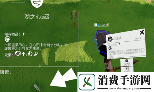 拥抱挑战！从零开始梦境意志获得方法