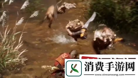 黑神话悟空**精在哪里