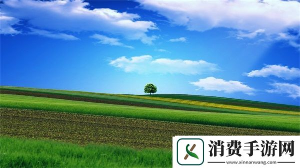 梅开二度公园当着孩子的面：亲子活动与安全设施
