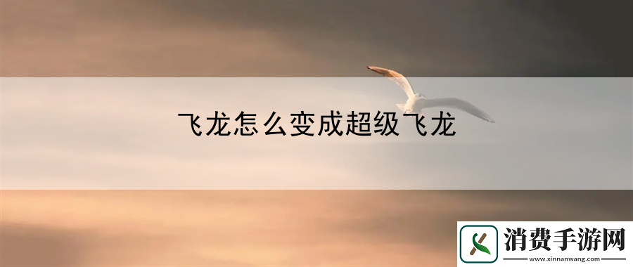 飞龙怎么变成超级飞龙
