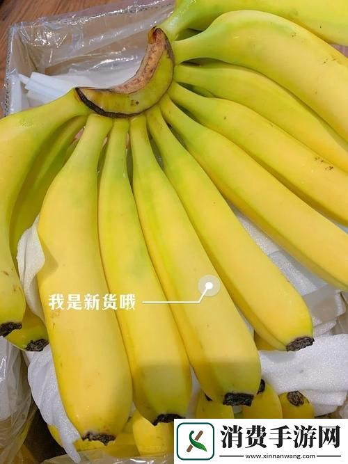 国产香蕉和进口香蕉的价格比较