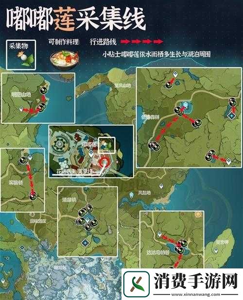 原神嘟嘟莲地图位置大全原神嘟嘟莲地图位置汇总