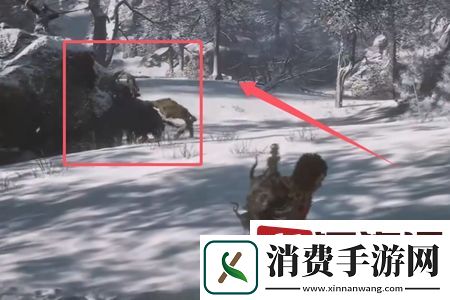 黑神话悟空第三魔将怎么找