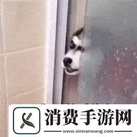 啊～你-TM-别㖭了小烧货：令人尴尬的场景
