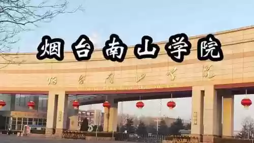 南山派阵容六道之门香行域阵容