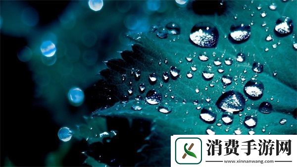 北北北砂禁慢天堂云缨巡街救阿离