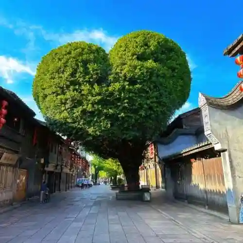 福建旅游必去十大景点七月份适合去厦门旅游吗