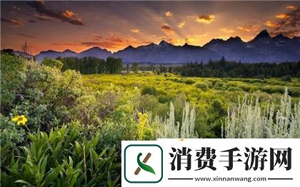杨大壮和田桂花的第二十九：探索他们故事中的深层次情感与剧情转折！