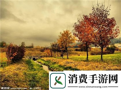 拔萝卜痛又降黄9.1发出声音新特效-UP主：直接整活儿了！