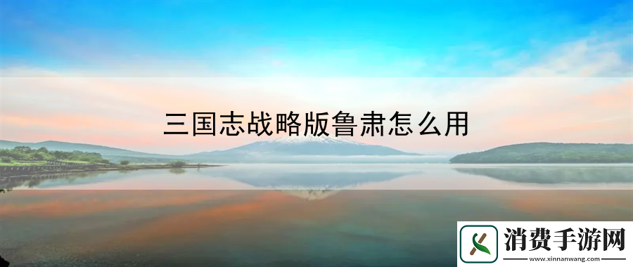三国志战略版鲁肃怎么用