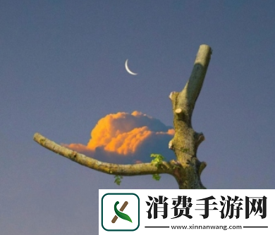 榨汁精灵的繁衍要求：保护自然资源与生物多样性-保护生态环境安全