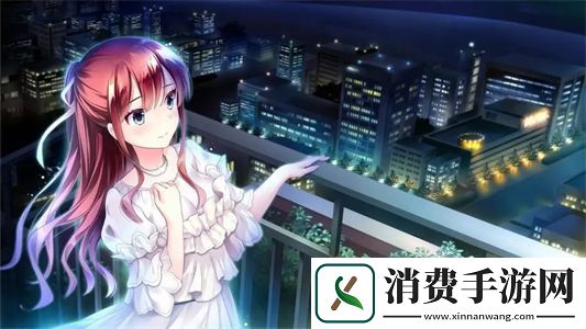 含羞草M码和欧洲码的区别是什么：如何选择合适的尺码