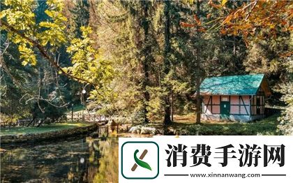 女主收集jy恢复法力的系统快穿：探讨奇幻冒险的成长之路