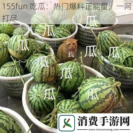 155fun-吃瓜：热门爆料正能量-一打尽