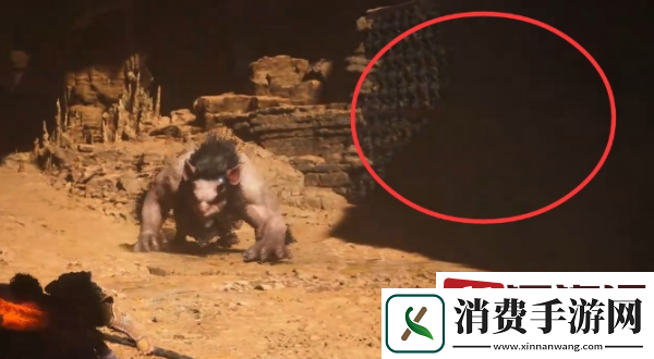 黑神话悟空全珍玩有哪些