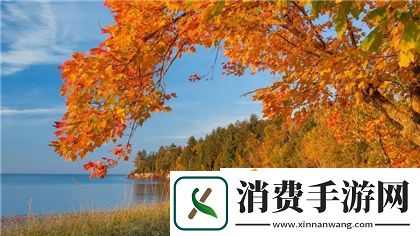 绑定大rb系统：企业资源管理的智能解决方案
