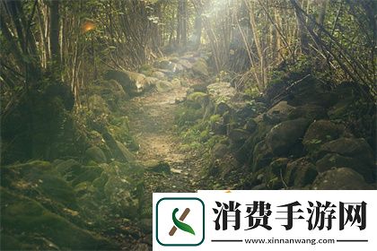2023-Amazon欧洲站：探索跨境电商新机遇