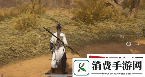 燕云十六声煞地神怎么打