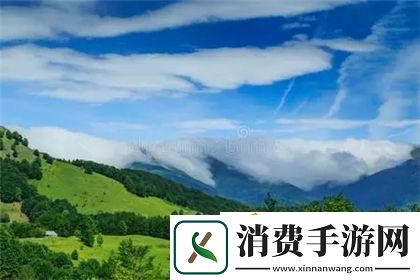 九个装修工人把我放在茶几上文字：一个小物品被误入装修风暴的意外经历