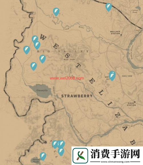 混乱军团提高灵气道具地点及解析