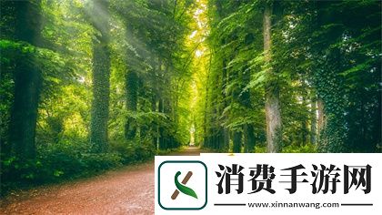 一字马的时候唇瓣是打开的吗：瑜伽姿势解析与呼吸技巧