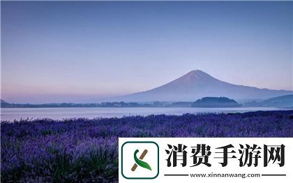 赵丽雅正搭公交车准备回家：都市生活中的平凡瞬间。