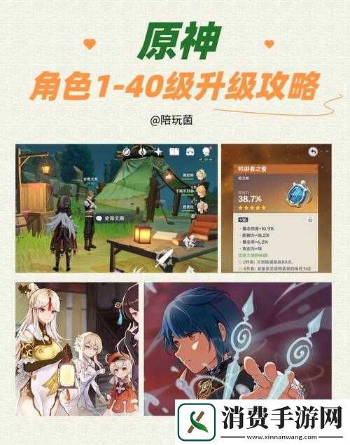 新手必看