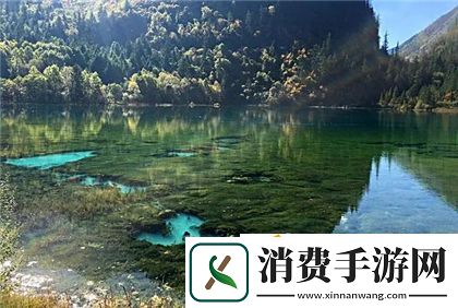可不可以po橘子糖水：橘子糖水的制作和喝法