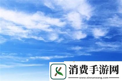 二人生猴子全程不盖被子引热议：公众反应与专家分析