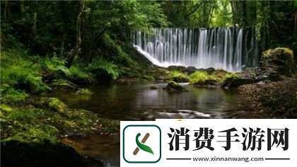 小洞饿了想吃大火腿肠：了解火腿肠的魅力与营养