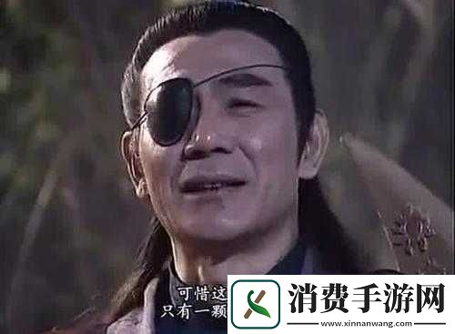 神雕侠侣爱闯绝情谷将军劫打法