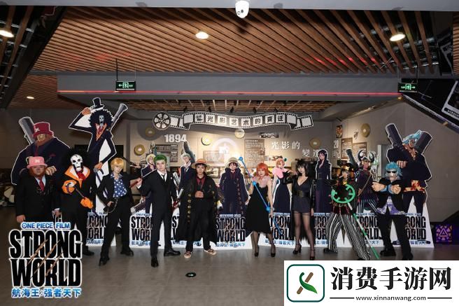 成都私人小影院品牌加盟海贼王