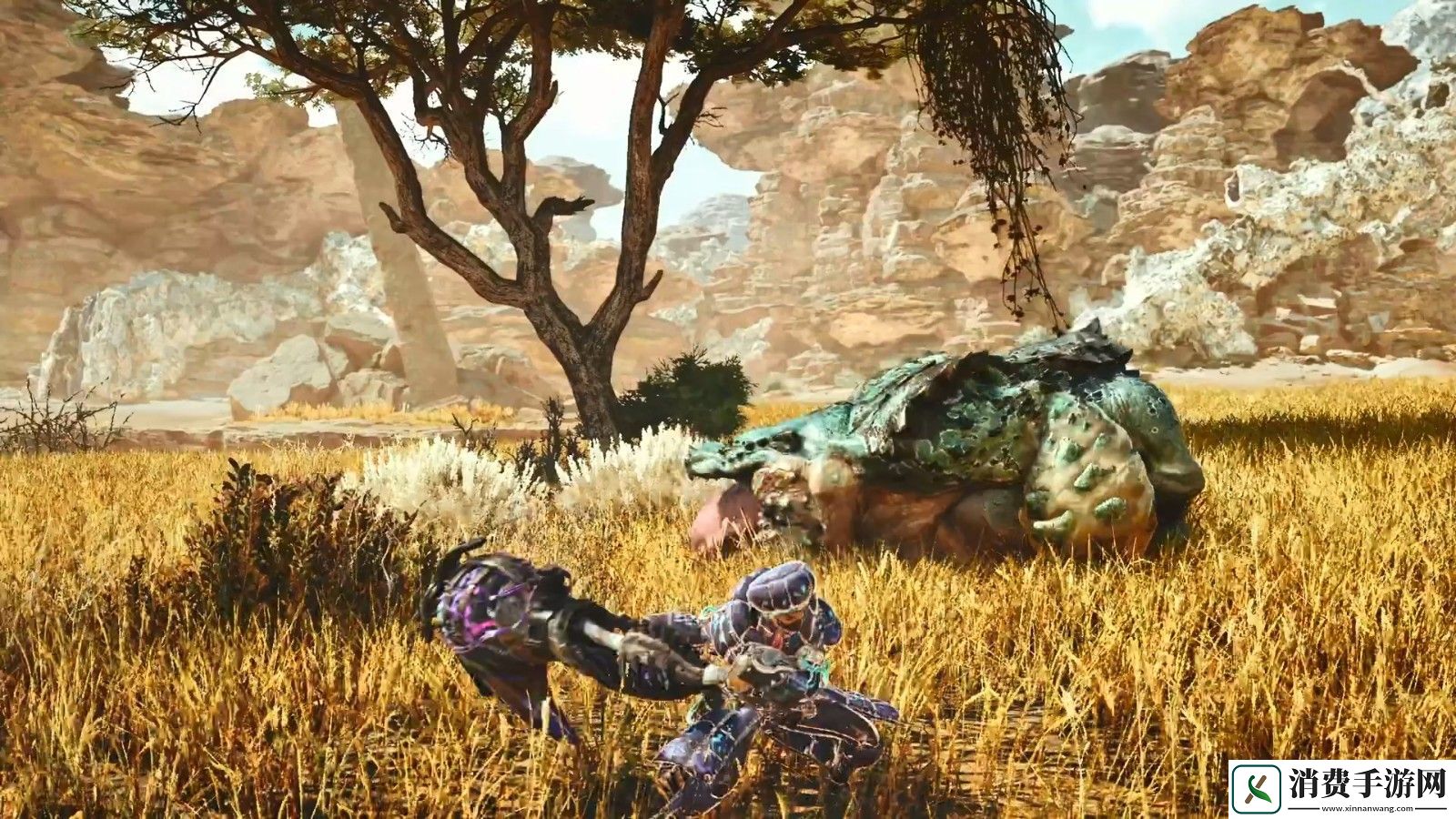 怪物猎人荒野大锤武器介绍