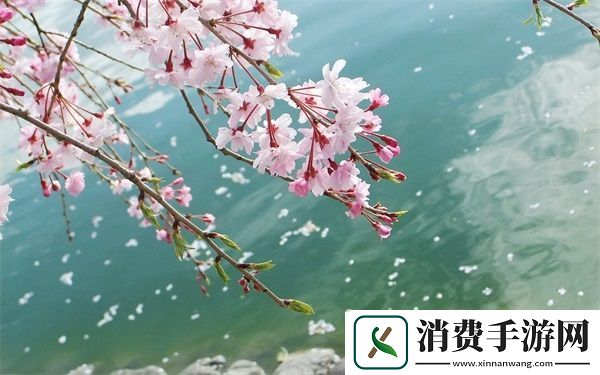 Zoom和人马如何互动交流：提高远程沟通效率的秘诀