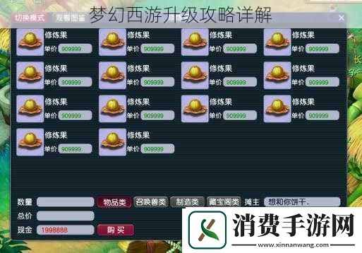梦幻西游升级攻略详解
