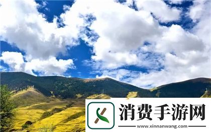 叛逆儿子暴躁老妈的解决方法：实用技巧与建议