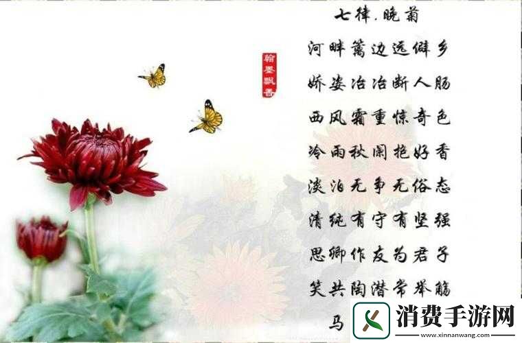 答错一题菊花放一支笔谢俞