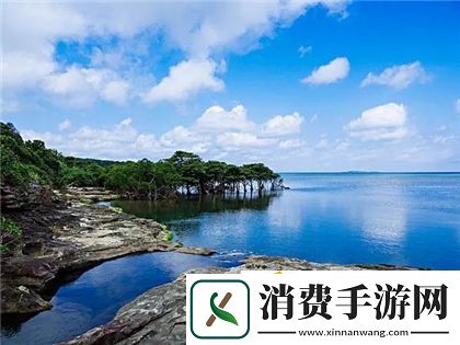 每天都在汆肉中醒来酱酱：享受健康美味的饮食新方式