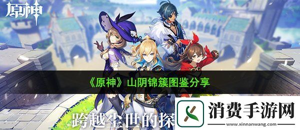 原神山阴锦簇有什么用：山阴锦簇图鉴分享