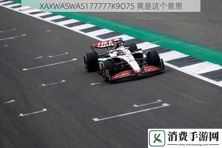 XAXWASWAS177777K9O75-竟是这个意思